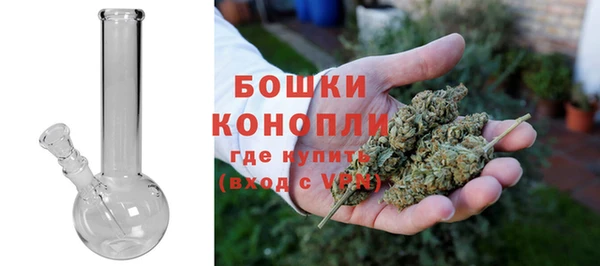 mdpv Вяземский