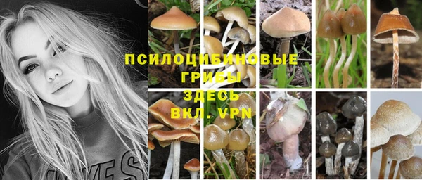 прущая мука Вязьма