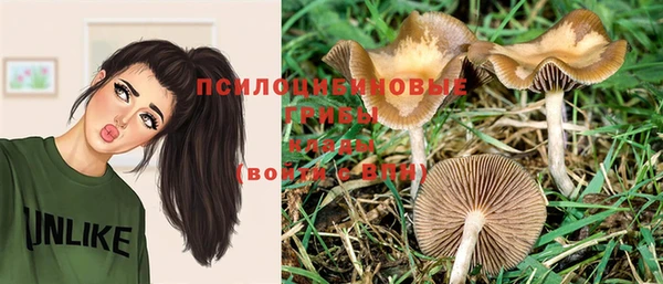 прущие крисы Горнозаводск