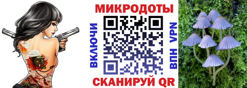 Псилоцибиновые грибы Psilocybe  продажа наркотиков  Дивногорск 